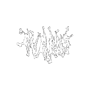 Avarus Clothing